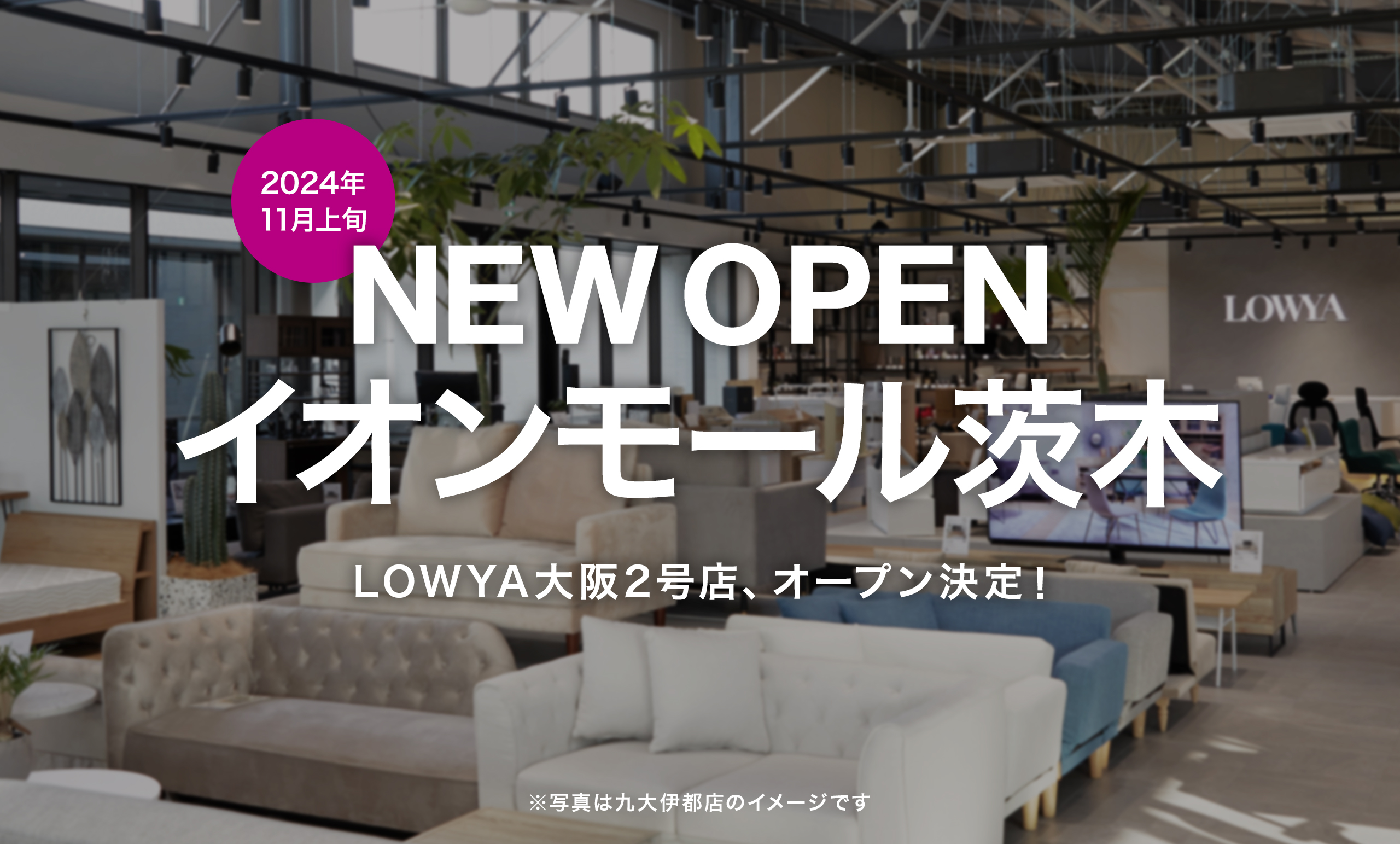 2024年11月イオンモール茨木に<br/>関西で2店舗目となるLOWYAの実店舗の開業が決定！